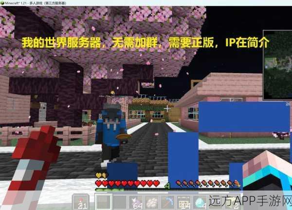 揭秘我的世界手机版服务器辅助工具，游戏高手的隐藏秘籍？