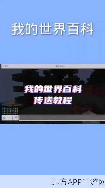 揭秘我的世界手机版服务器辅助工具,游戏高手的隐藏秘籍?