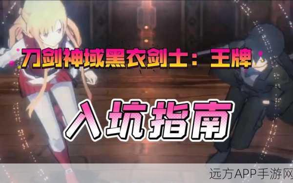 刀剑神域黑衣剑士公测版,等级上限全揭秘与高效升级攻略