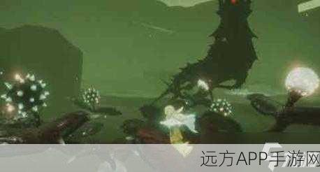 探秘光遇巨兽荒原,冥想圣地的详尽指南与独特体验