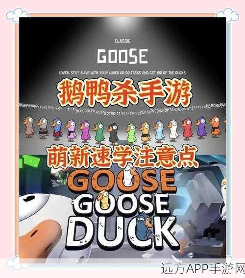 鹅鸭杀训练场深度解析，砖块任务全攻略与竞技细节揭秘
