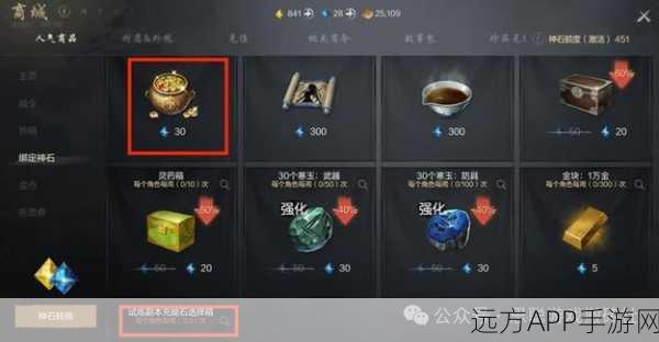 剑灵点券大揭秘,虚拟货币如何搭建现实竞技舞台?