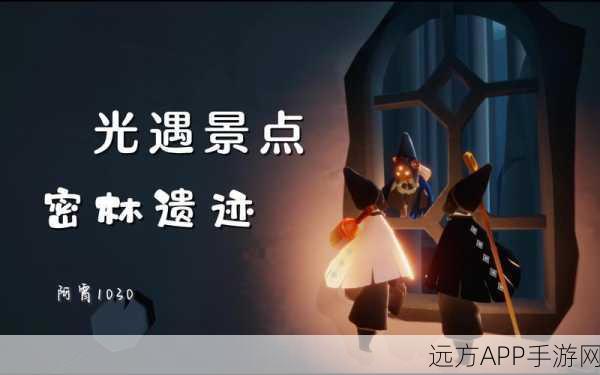 光遇之旅，探秘雨林密林遗迹，寻觅光影之谜