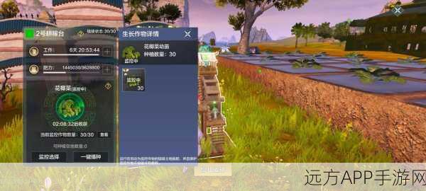 妄想山海墟楼探险,解锁神秘迷宫,争夺无尽宝藏的奇幻之旅