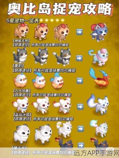 奥比岛手游攻略，解锁宠物家园，打造梦幻宠物乐园！