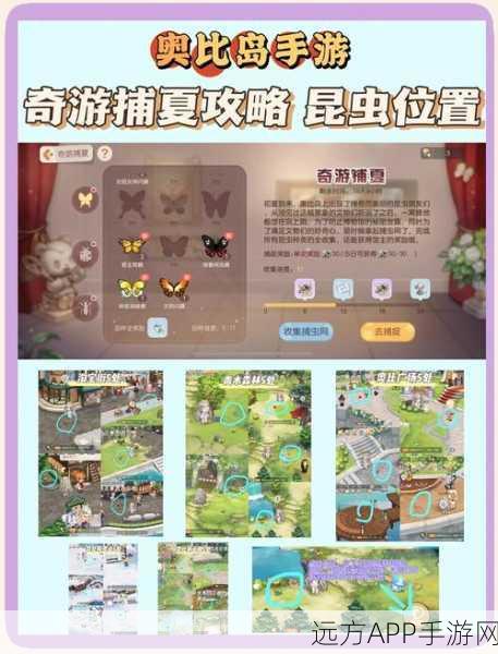 奥比岛手游攻略,解锁宠物家园,打造梦幻宠物乐园!