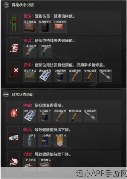 暗区突围，全面解析药品种类与生存策略