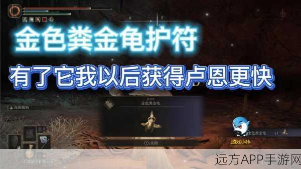 艾尔登法环探险必备，金色粪金龟护符高效获取全解析