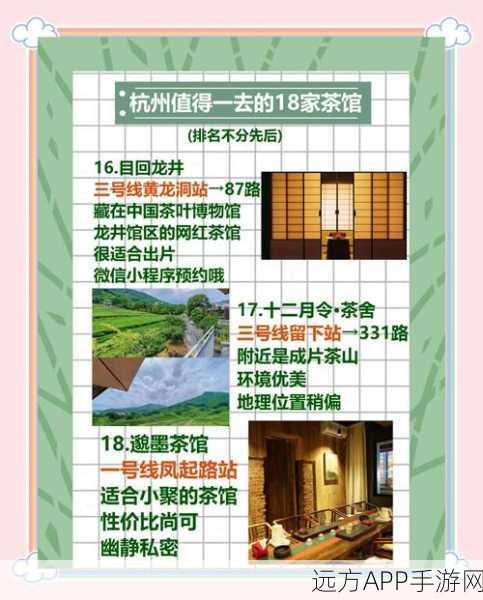 烟雨江湖深度探索，茶叶获取全攻略与品茗大赛心得揭秘