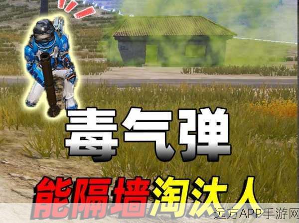 和平精英新武器揭秘,战术弹射炮实战策略与技巧