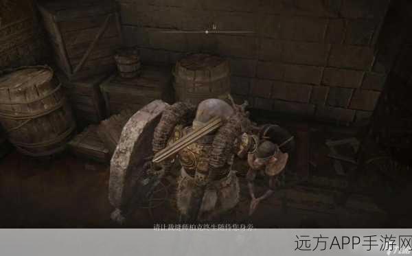 艾尔登法环深度探索，揭秘裁缝师柏克隐藏剧情与进阶攻略