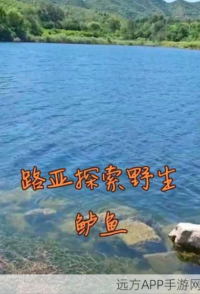 露玛岛垂钓大赛,金鳞鲈鱼新攻略,揭秘最佳钓点与高效出产地