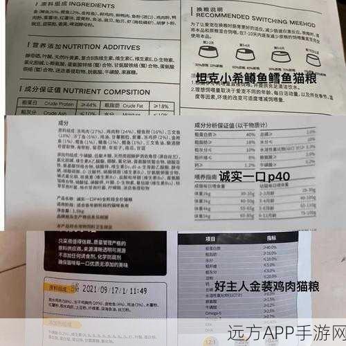 小森生活,揭秘巧克力猫粮的获取途径与兑换细节