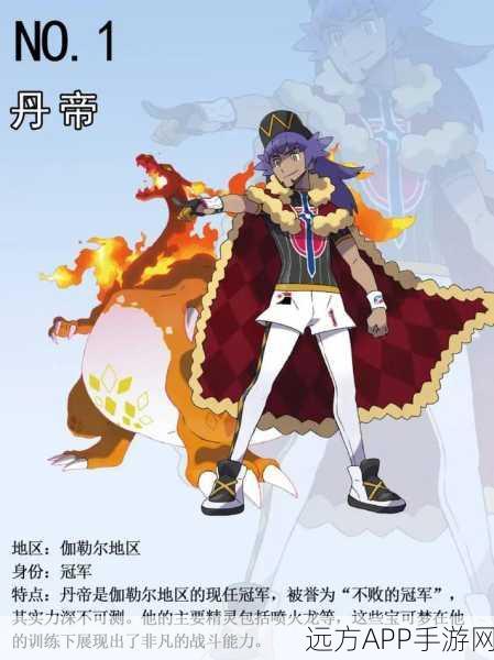 宝可梦大师观看指南,解锁动画全攻略与精彩赛事细节
