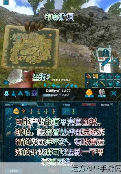 揭秘方舟,生存进化飞龙栖息地,探索神秘天空之城的秘密