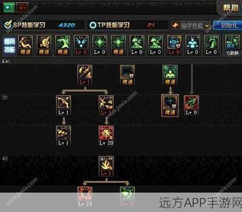DNF冰结师高手攻略，85级高效刷图加点技巧揭秘