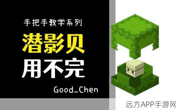 探秘我的世界神秘生物,潜影贝全解析