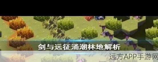 涌潮林地精英挑战,剑与远征全攻略揭秘,解锁隐藏宝藏!