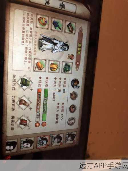 烟雨江湖深度解析,梅花步法实战效果与运用策略