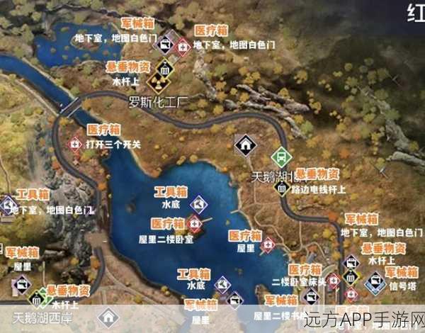 手游战术升级，黎明觉醒地雷使用精髓与实战策略揭秘