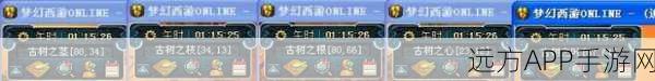梦幻西游5，全面解锁副本攻略秘籍