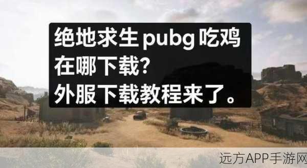 绝地求生手游全攻略，电脑级设置助你轻松吃鸡