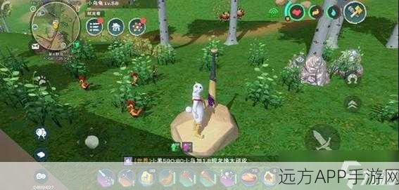 手游新探秘,创造与魔法沙漠土豆大赛全揭秘
