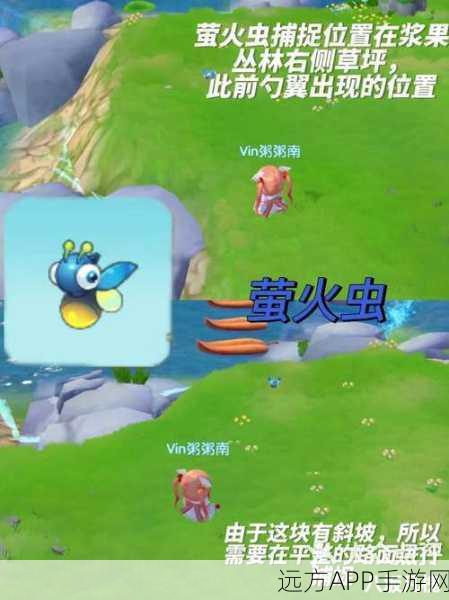 摩尔庄园昆虫捕捉全攻略，成为昆虫大师的秘籍