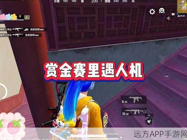 和平精英赏金赛，揭秘高手间的策略较量与奖金争夺