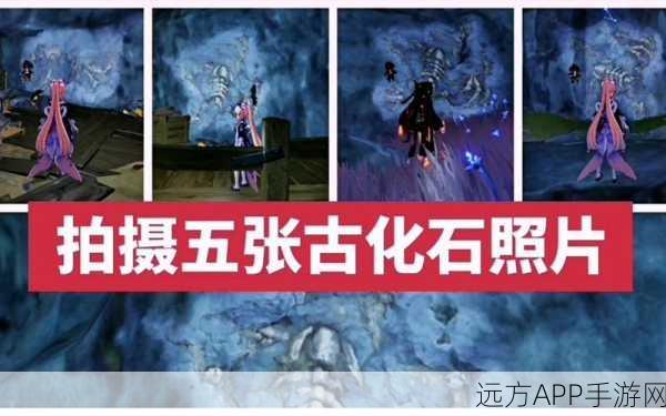 原神古代生物大揭秘，化石照片全攻略，探索遗迹的奥秘