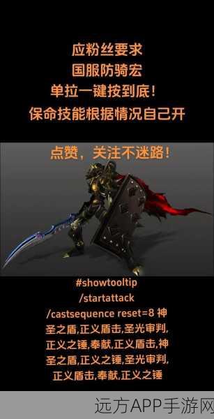 WLK惩戒骑雕文精选指南，打造高效战斗策略，征服冰冠堡垒