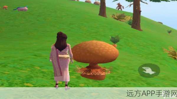 松露采集秘籍，创造与魔法游戏内珍稀资源高效定位攻略