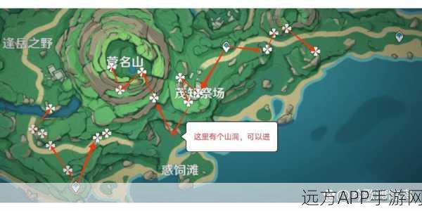 原神幽灯蕈全图分布与高效采集秘籍，助你快速解锁关键材料