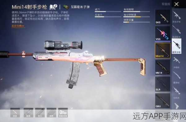独家揭秘，和平精英Mini14炫彩节奏皮肤高效获取攻略