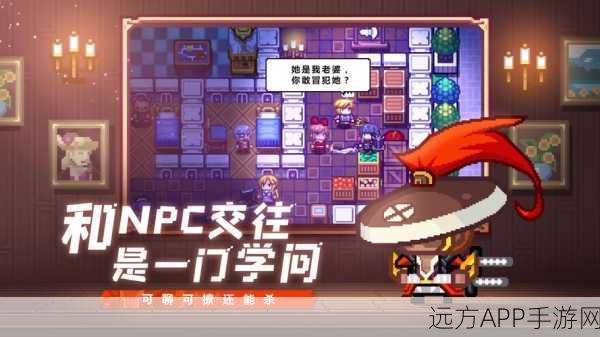 伊洛纳家园物品管理秘籍，顶尖存储策略与实战技巧大公开