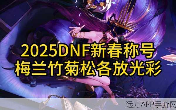 DNF稀有时装盛典,颜值巅峰对决,揭秘隐藏王者花落谁家?