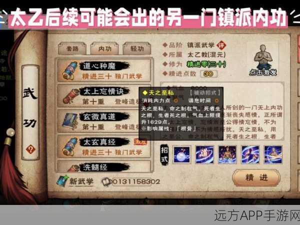 烟雨江湖深度探索，揭秘阴属性内功全貌