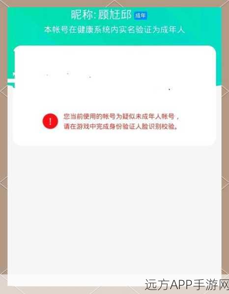 王者荣耀未成年实名认证重置指南,轻松完成身份更新,畅享游戏乐趣