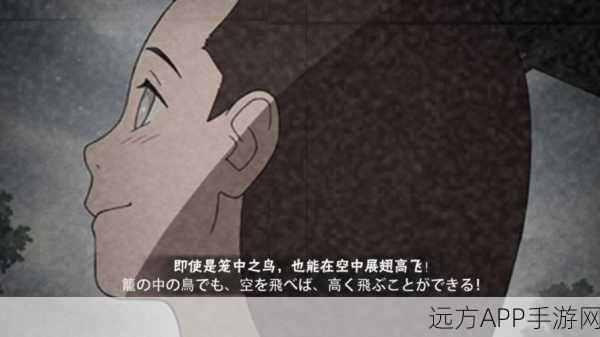 火影忍者手游，宁次全出场集数深度解析，重温经典战斗燃爆瞬间