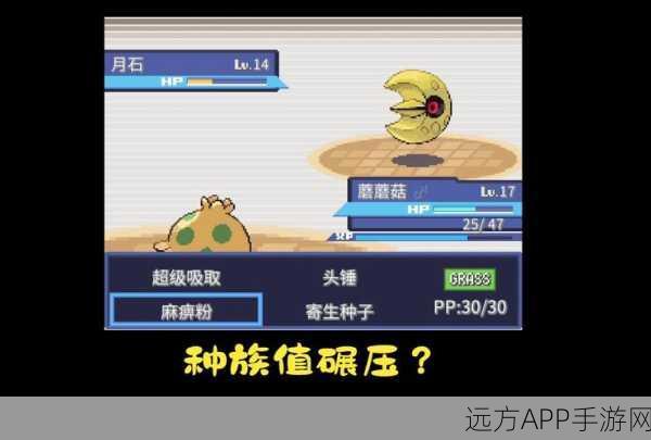 口袋妖怪深度解析,揭秘花岩怪的克星与对战策略