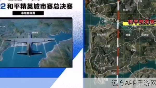 和平精英战斗艺术大揭秘,代码背后的竞技策略与顶尖赛事细节