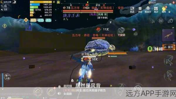 妄想山海深度攻略,揭秘灵泉高效获取与实战运用技巧