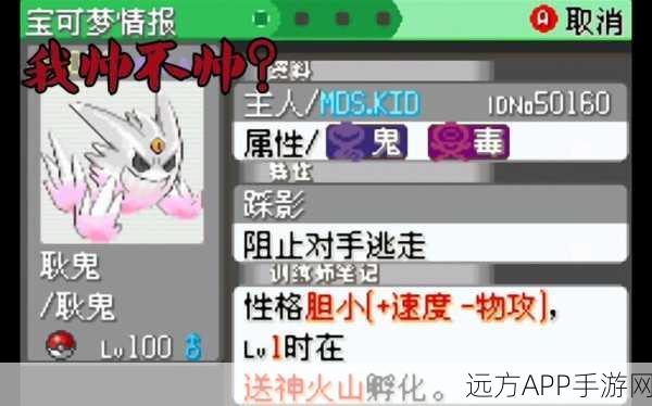 口袋妖怪绿宝石493，耿鬼最强配招攻略，白金版勿入！
