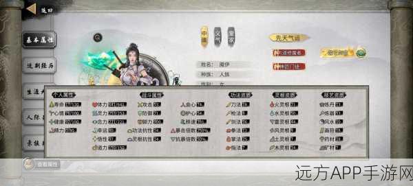 鬼谷八荒全系道魂深度评测,属性搭配与实战选择全攻略