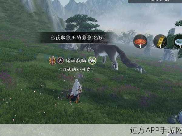 天涯明月刀手游深度探索，揭秘无极杀手的神秘踪迹