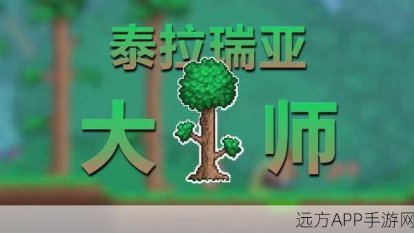 泰拉瑞亚,精准射击必备!瞄准镜获取全攻略