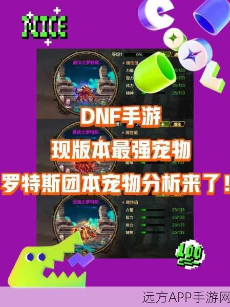 DNF手游,揭秘赫尔德宠物市场价格与性价比深度剖析