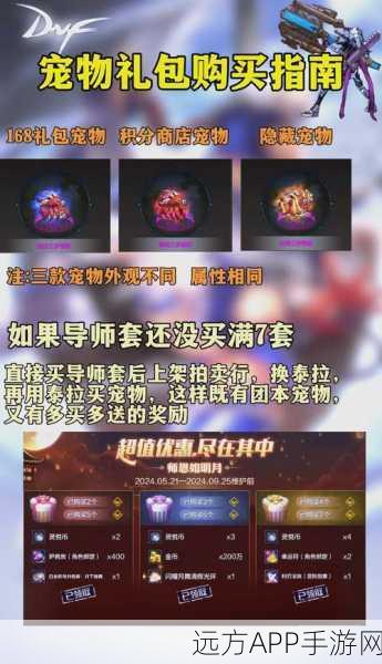 DNF手游,揭秘赫尔德宠物市场价格与性价比深度剖析