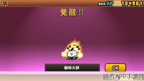 手游攻略，白猫计划——顶尖3星格斗家推荐与战斗效能倍增策略