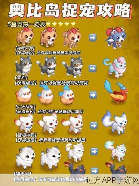 奥比岛创造堂揭秘，谁拥有听懂小动物语言的神奇能力？